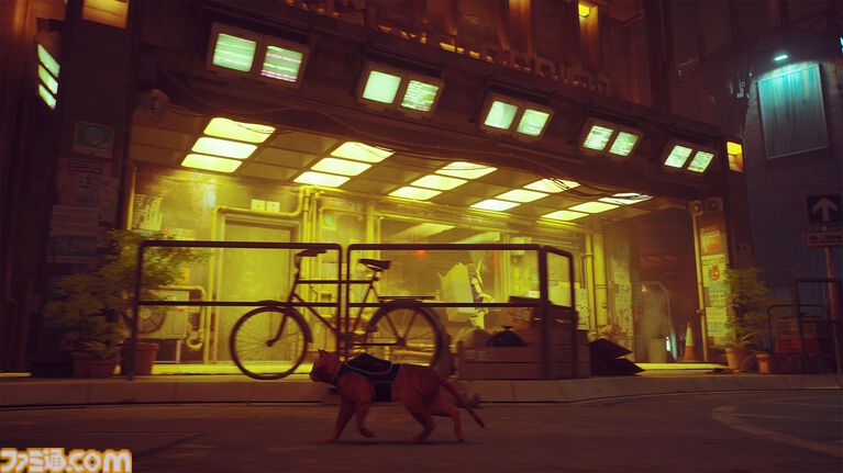 『Stray』Switch2パッケージ版が11月12日発売。サイバーパンク猫アドベンチャー、言語解読カード&リバーシブルジャケット付き