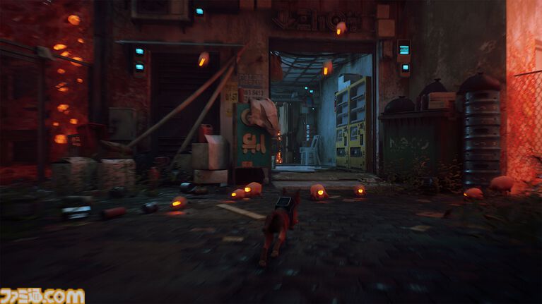 『Stray』Switch2パッケージ版が11月12日発売。サイバーパンク猫アドベンチャー、言語解読カード&リバーシブルジャケット付き