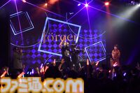 "maimai でらっくす MUSiC LiVE 2026”昼夜完全リポート。ボス曲ラッシュとマイマイマー感動の大合唱を追跡