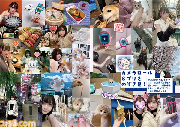 登録者100万人突破のゲーム実況者・TAMAchanさん、公式ファンブック発売記念インタビュー。「何が何でも続ける！」という気持ちで走り続けてきた彼女の活動の裏側とは？