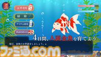『人面金魚アクアリウム』消えた友人が人面金魚になっていた。お世話次第で姿が変わる奇妙なノベルゲームが無料公開
