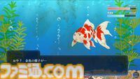 『人面金魚アクアリウム』消えた友人が人面金魚になっていた。お世話次第で姿が変わる奇妙なノベルゲームが無料公開