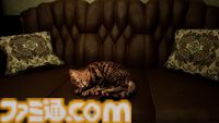 『ミャオモリーズ』8月20日に発売決定。猫を操作して離れ離れになった飼い主を探すホラーアドベンチャー。マイクに「ニャー」と鳴くと敵が停止する機能付き