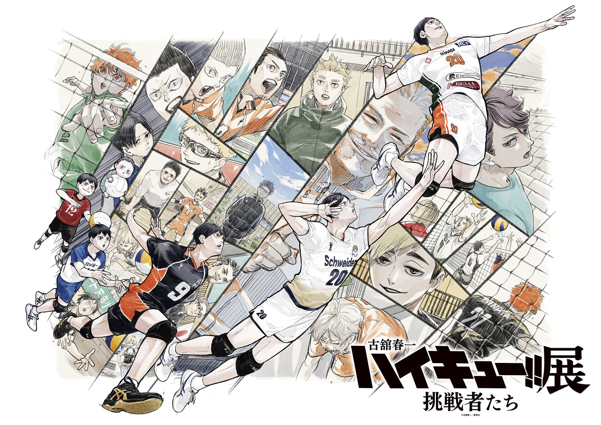 ジャンプ展 ファン感謝デー 来場者特典 来場記念証 ハイキュー 影山飛雄 ジャンプ展 ファン感謝デー 来場者特典 来場記念証 ハイキュー 影山飛