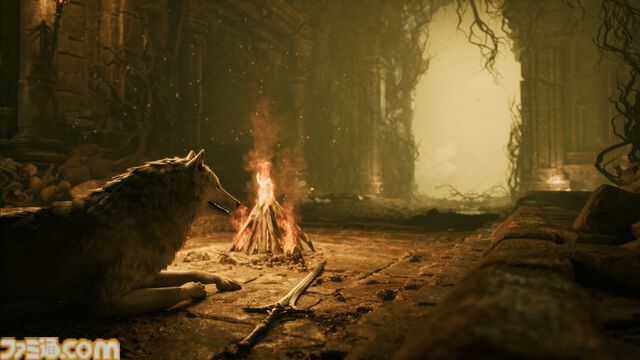 『Stray Dog: nobody cares』イヌが主役の新作ソウルライクアクション発表。口に咥えた剣で敵を切り裂き、攻撃を弾くダークファンタジー