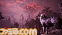 『Stray Dog: nobody cares』イヌが主役の新作ソウルライクアクション発表。口に咥えた剣で敵を切り裂き、攻撃を弾くダークファンタジー