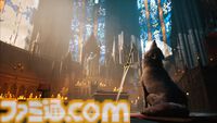『Stray Dog: nobody cares』イヌが主役の新作ソウルライクアクション発表。口に咥えた剣で敵を切り裂き、攻撃を弾くダークファンタジー