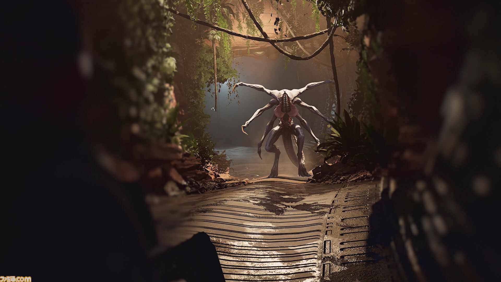 『エイリアン：ファイアーチーム エリート2』PS5DL版が本日（8/26）発売。映画『エイリアン』の世界でゼノモーフの大群に立ち向かう協力型サバイバルTPS