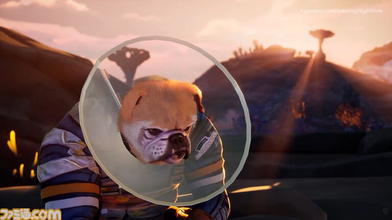 『GravHounds（グラヴハウンズ）』擬人化された犬たちの協力型TPS映像公開。エリザベスカラーを着けて、しょんぼりするワンちゃんがかわいい【gamescom 2026】