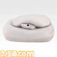 一番くじ“爬虫類両生類”が本日（8/29）発売。ボールパイソンの丸まった姿がティッシュケースになって登場