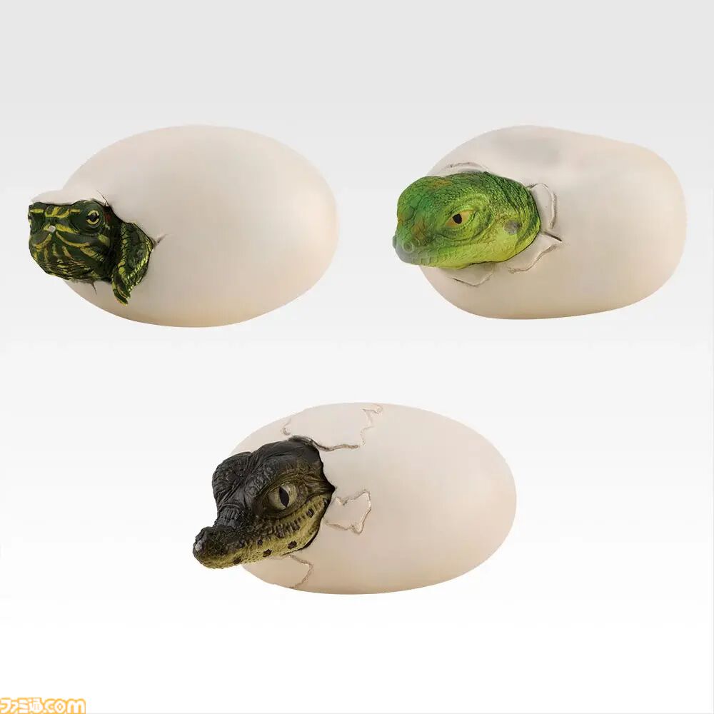 一番くじ“爬虫類両生類”が本日（8/29）発売。ボールパイソンの丸まった姿がティッシュケースになって登場