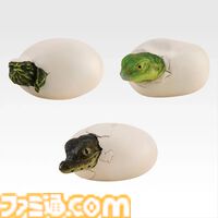 一番くじ“爬虫類両生類”が本日（8/29）発売。ボールパイソンの丸まった姿がティッシュケースになって登場