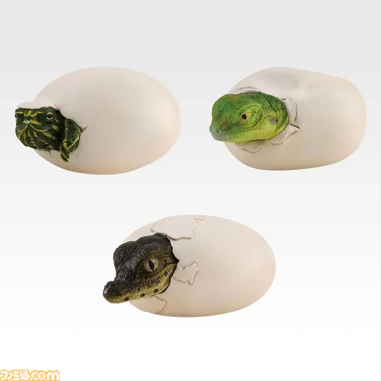 一番くじ“爬虫類両生類”が本日(8/29)発売。ボールパイソンの丸まった姿がティッシュケースになって登場
