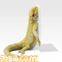 一番くじ“爬虫類両生類”が本日（8/29）発売。ボールパイソンの丸まった姿がティッシュケースになって登場