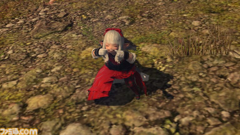 『FF14』魔獣使い開発者インタビュー。ペット固有アクションの組み合わせを考えて戦うバトルが魅力。ノーマルの“闘獣練”はカジュアルに遊べる難易度に
