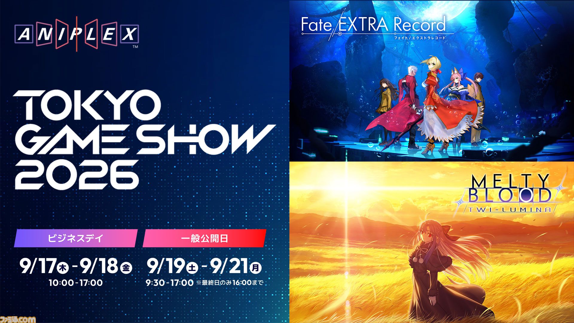 画像ページ (11/13) 【TGS2026】『フェイト エクストラ レコード