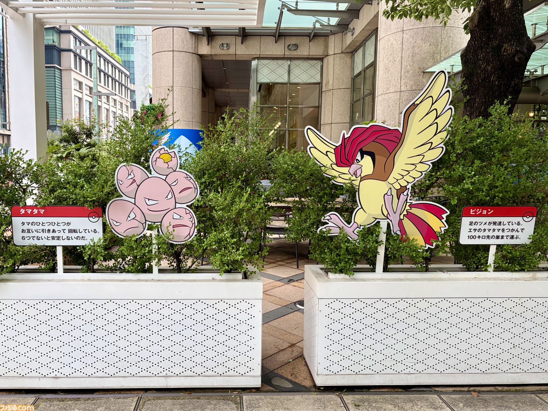 『ポケモン』“レジェンドリサーチ in 日本橋＆八重洲”内覧会リポート。伝説のポケモン立像に大興奮！ 松丸亮吾さんが語る謎解きのこだわり