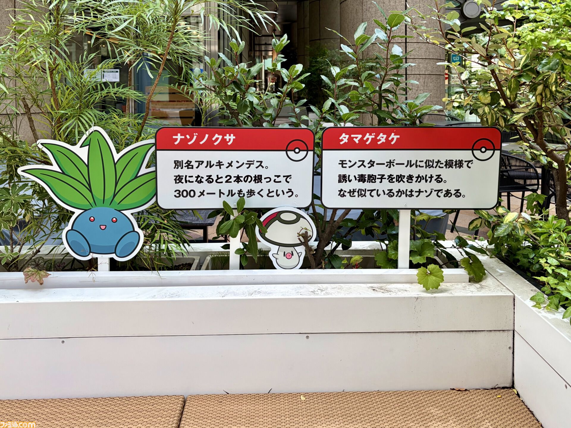 『ポケモン』“レジェンドリサーチ in 日本橋＆八重洲”内覧会リポート。伝説のポケモン立像に大興奮！ 松丸亮吾さんが語る謎解きのこだわり