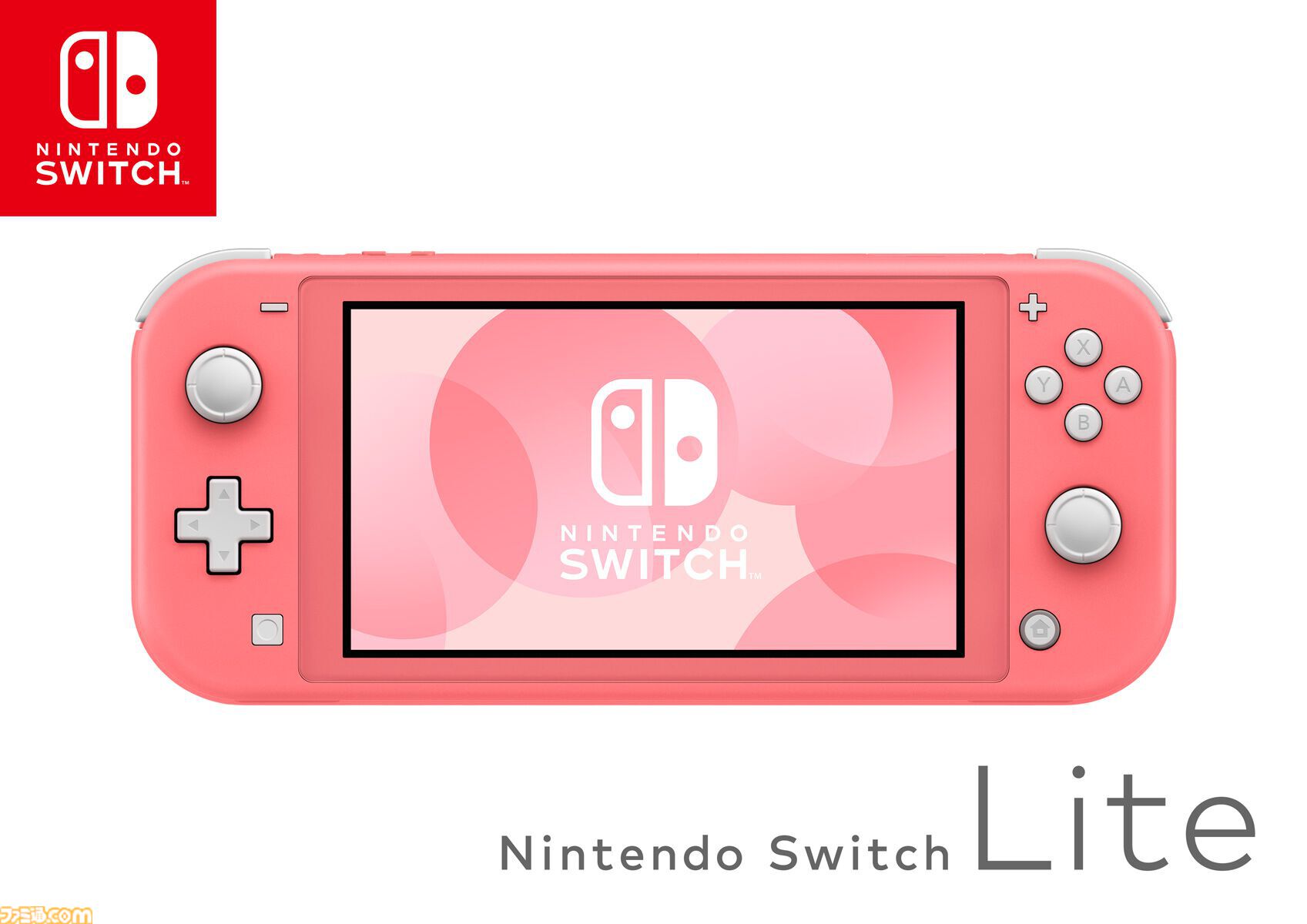 画像ページ (4/6) Nintendo Switch Liteが発売された日。小型化・軽量