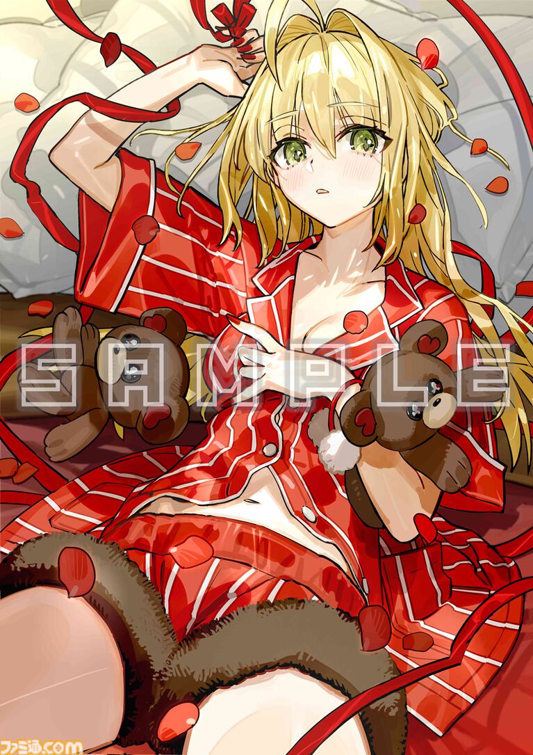 『フェイト エクストラ レコード』ワダアルコ氏描き下ろしの店舗特典イラスト公開。アニメイトはセイバー、ソフマップはキャスター。各店舗の特典デザインも一挙公開